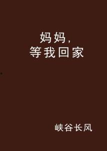等我回家,家的温暖与期盼