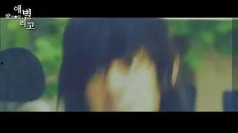 爱别离苦,揭秘人生无常的情感困境