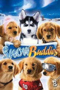 雪地巴迪,探寻冬日里的温暖与欢乐