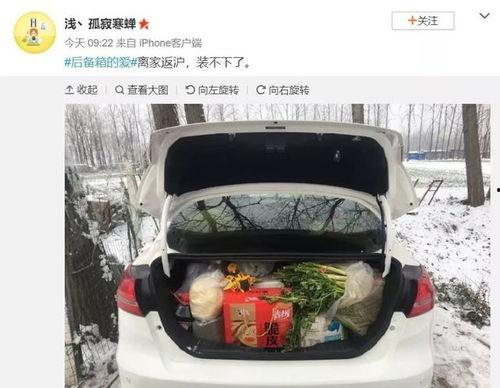谁往后备箱塞了个顶流女明星,背后故事引人遐想